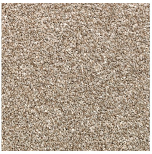 Carpet